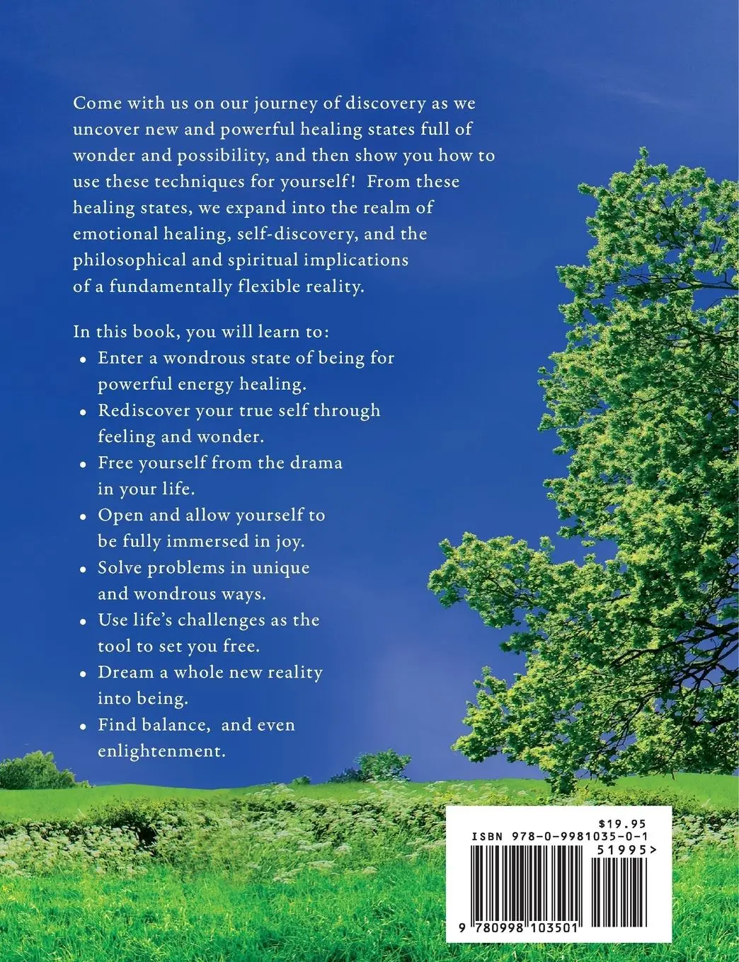 Rückseite: 9780998103501 | Energy Healing and The Art of Awakening Through Wonder | Taschenbuch