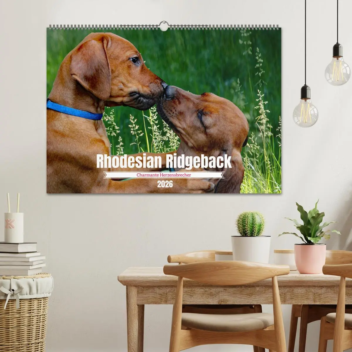 Bild: 9783457563601 | Rhodesian Ridgeback, Charmante Herzensbrecher (Wandkalender 2026...