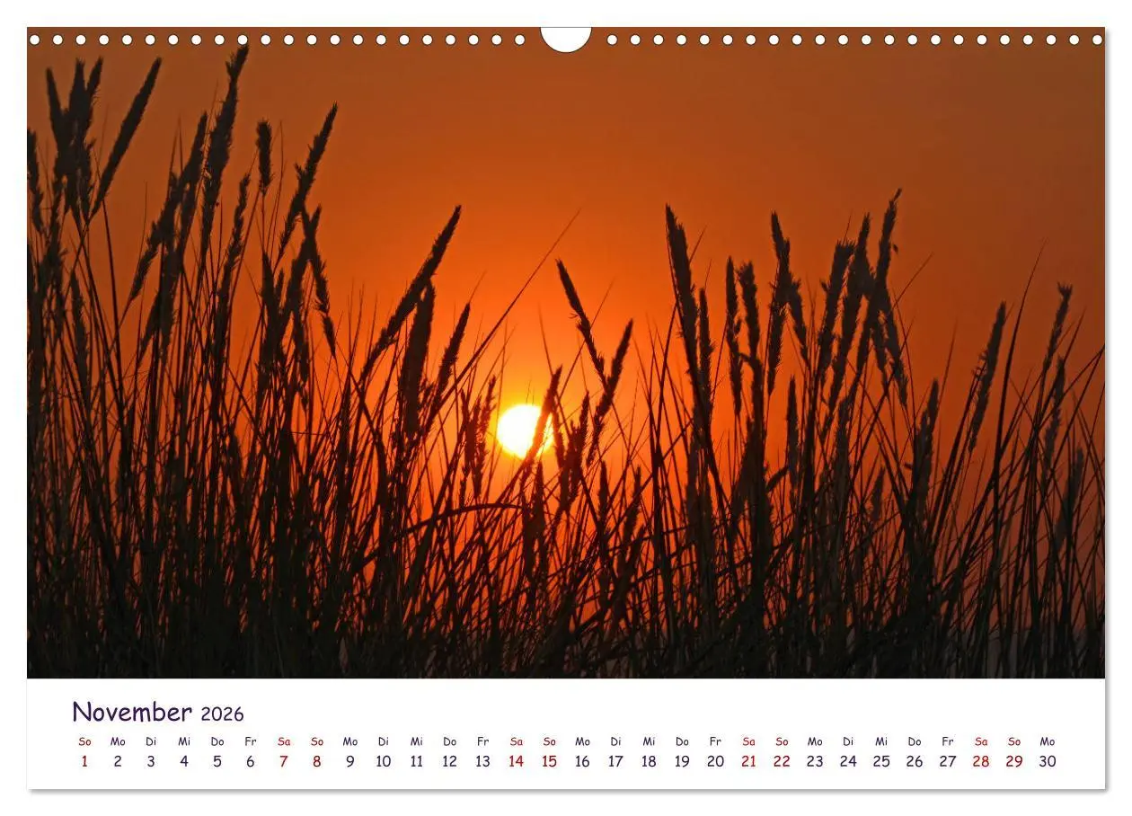 Bild: 9783457703601 | Natur und Landschaft Mecklenburg - Vorpommern 2026 (Wandkalender...