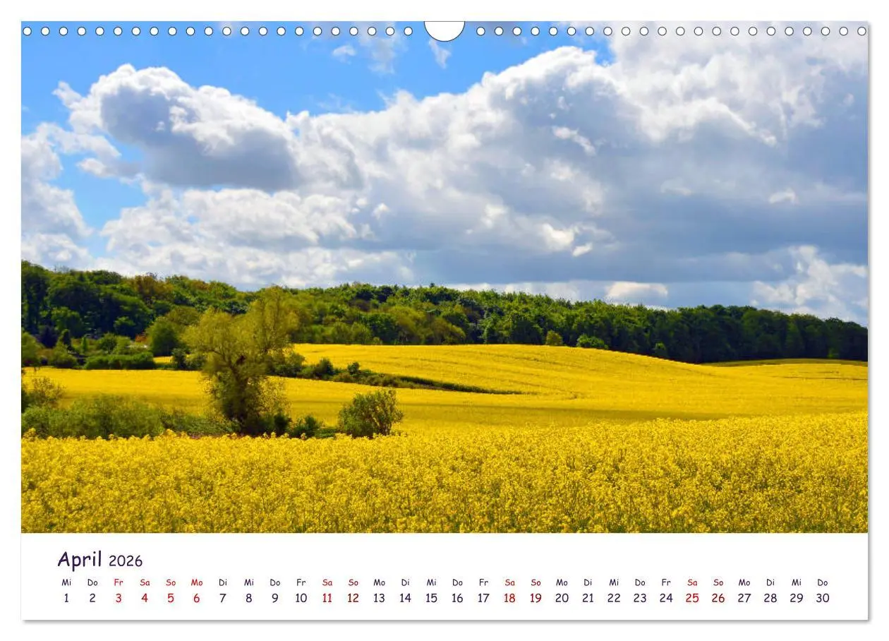 Bild: 9783457703601 | Natur und Landschaft Mecklenburg - Vorpommern 2026 (Wandkalender...
