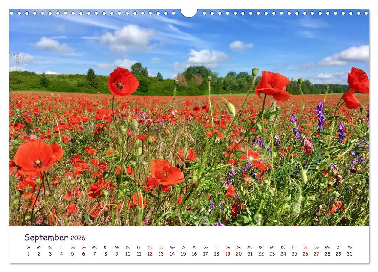 Bild: 9783457703601 | Natur und Landschaft Mecklenburg - Vorpommern 2026 (Wandkalender...