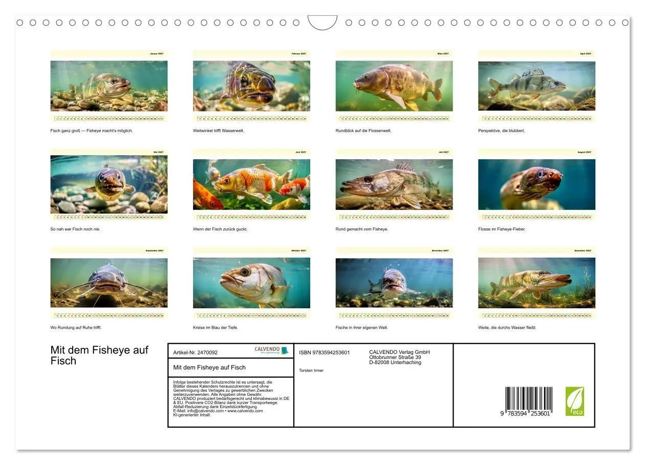 Bild: 9783594253601 | Mit dem Fisheye auf Fisch (Wandkalender 2027 DIN A3 quer), CALVENDO...