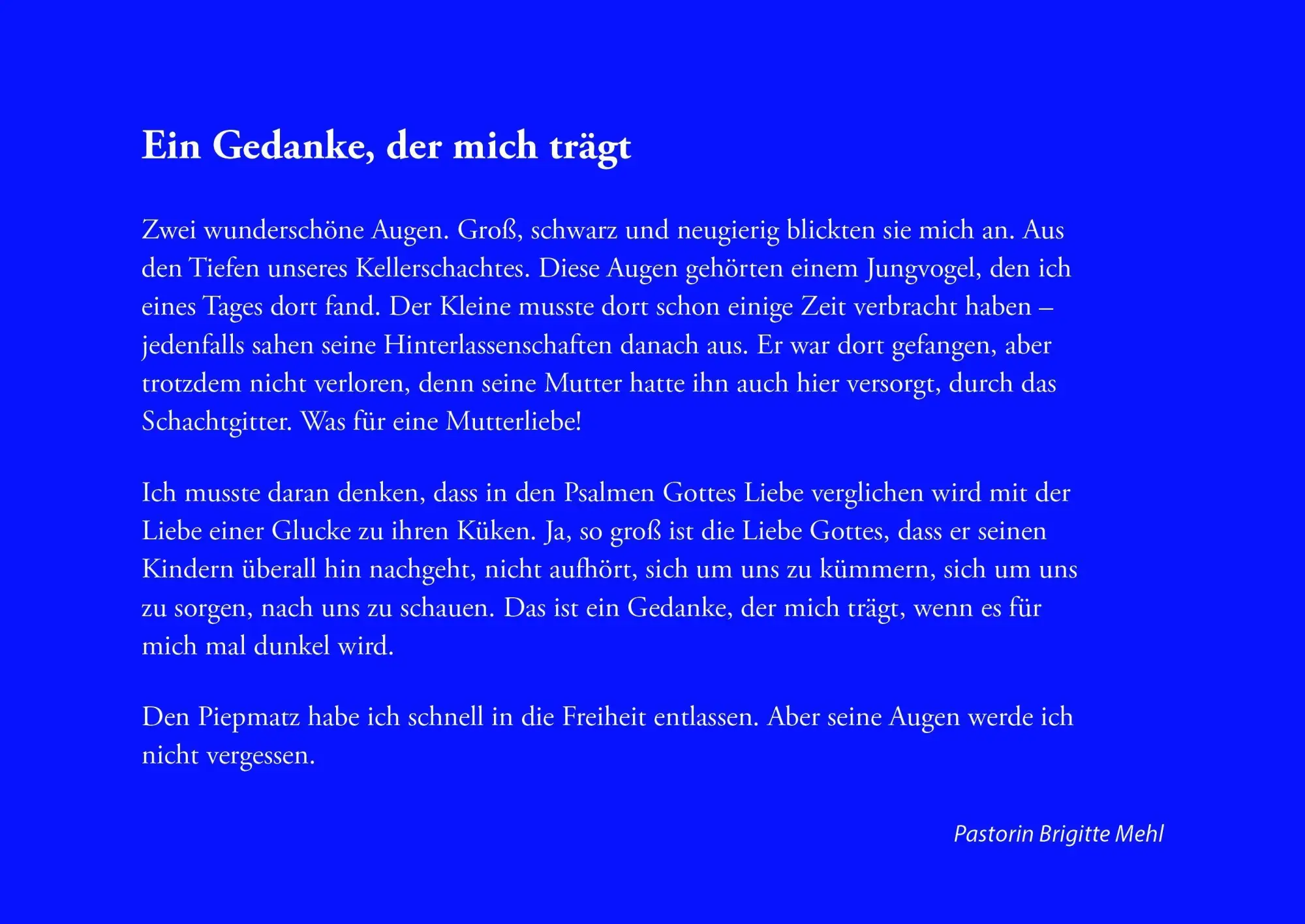 Bild: 9783875033601 | Jahresklänge 2027 | Kalender | 52 S. | Deutsch | 2027