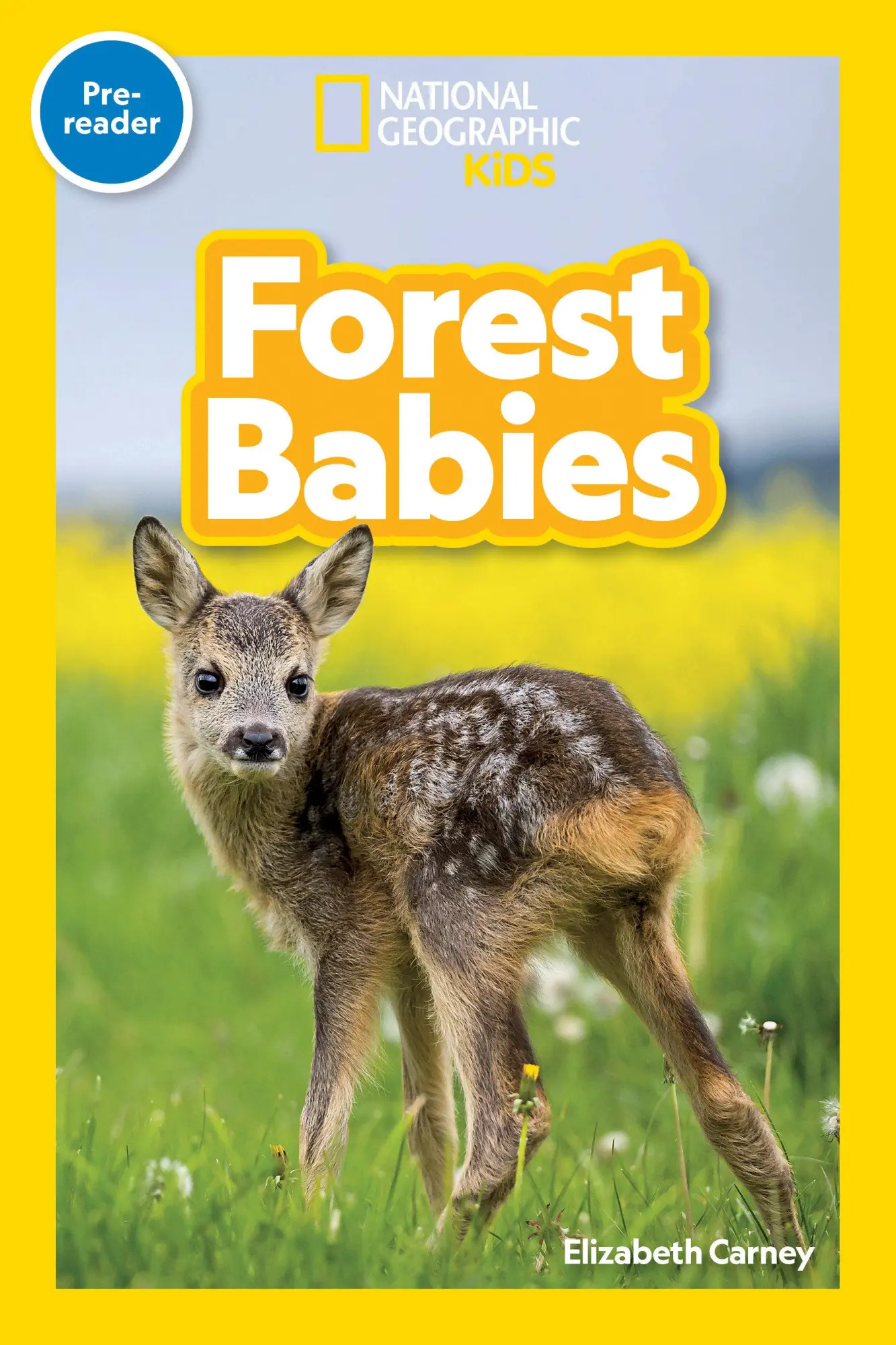 Cover: 9781426373701 | Forest Babies (National Geographic Kids Readers, Pre-Reader) | Carney
