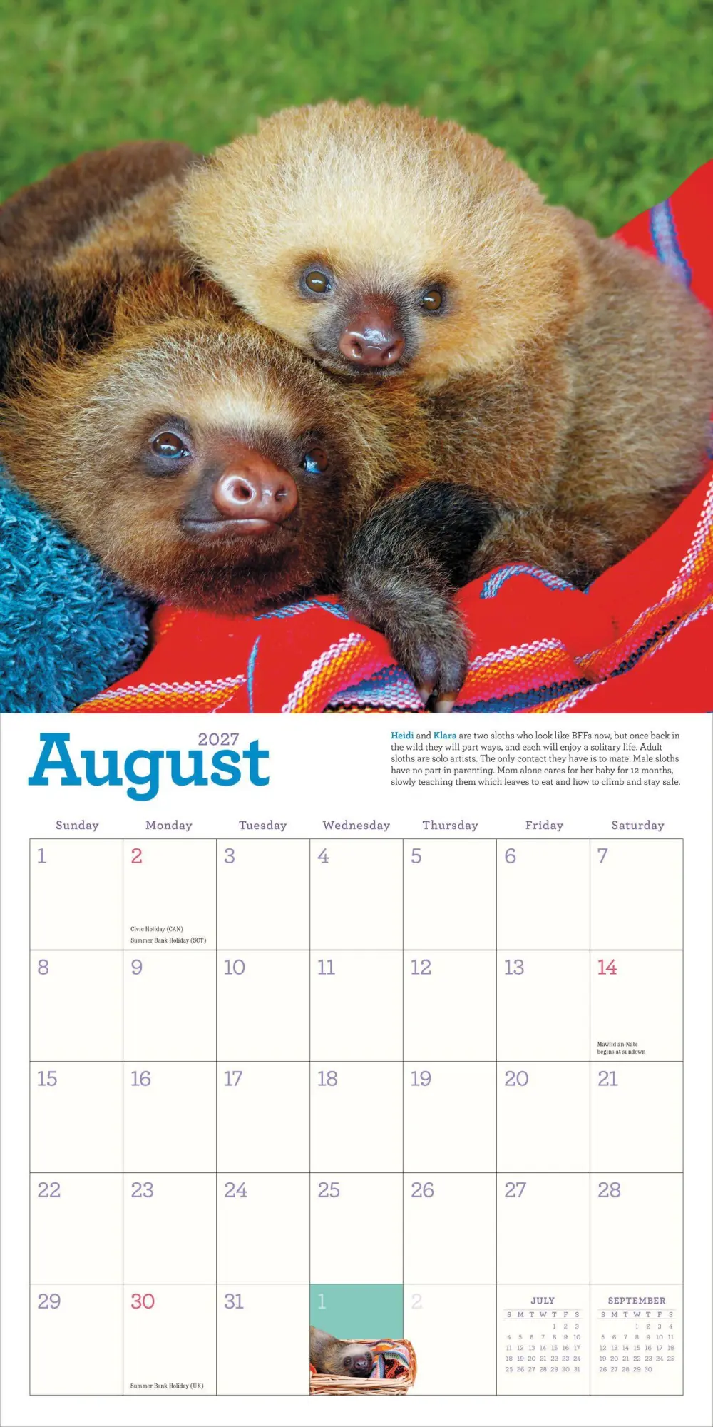 Bild: 9781523533701 | Original Sloths Wall Calendar 2027 | Lucy Cooke (u. a.) | Kalender