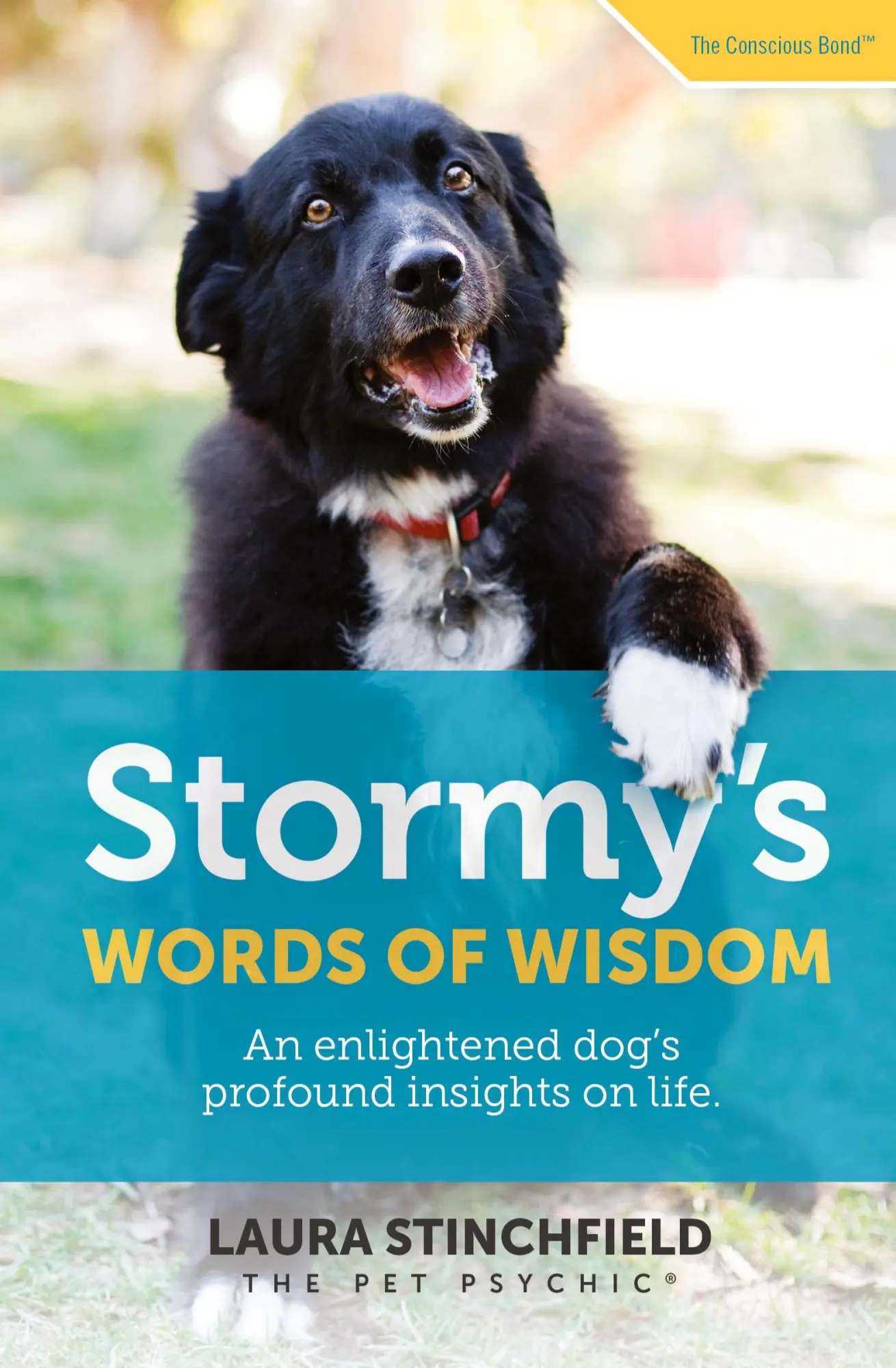 Cover: 9781733343701 | Stormy's Words of Wisdom | Laura Stinchfield | Taschenbuch | Englisch