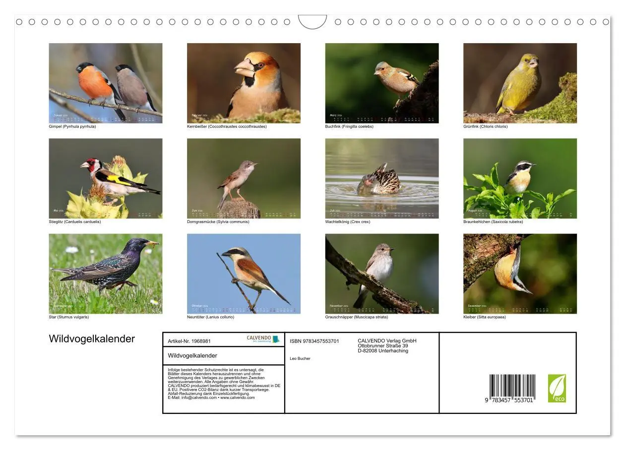 Bild: 9783457553701 | Wildvogelkalender (Wandkalender 2026 DIN A3 quer), CALVENDO...