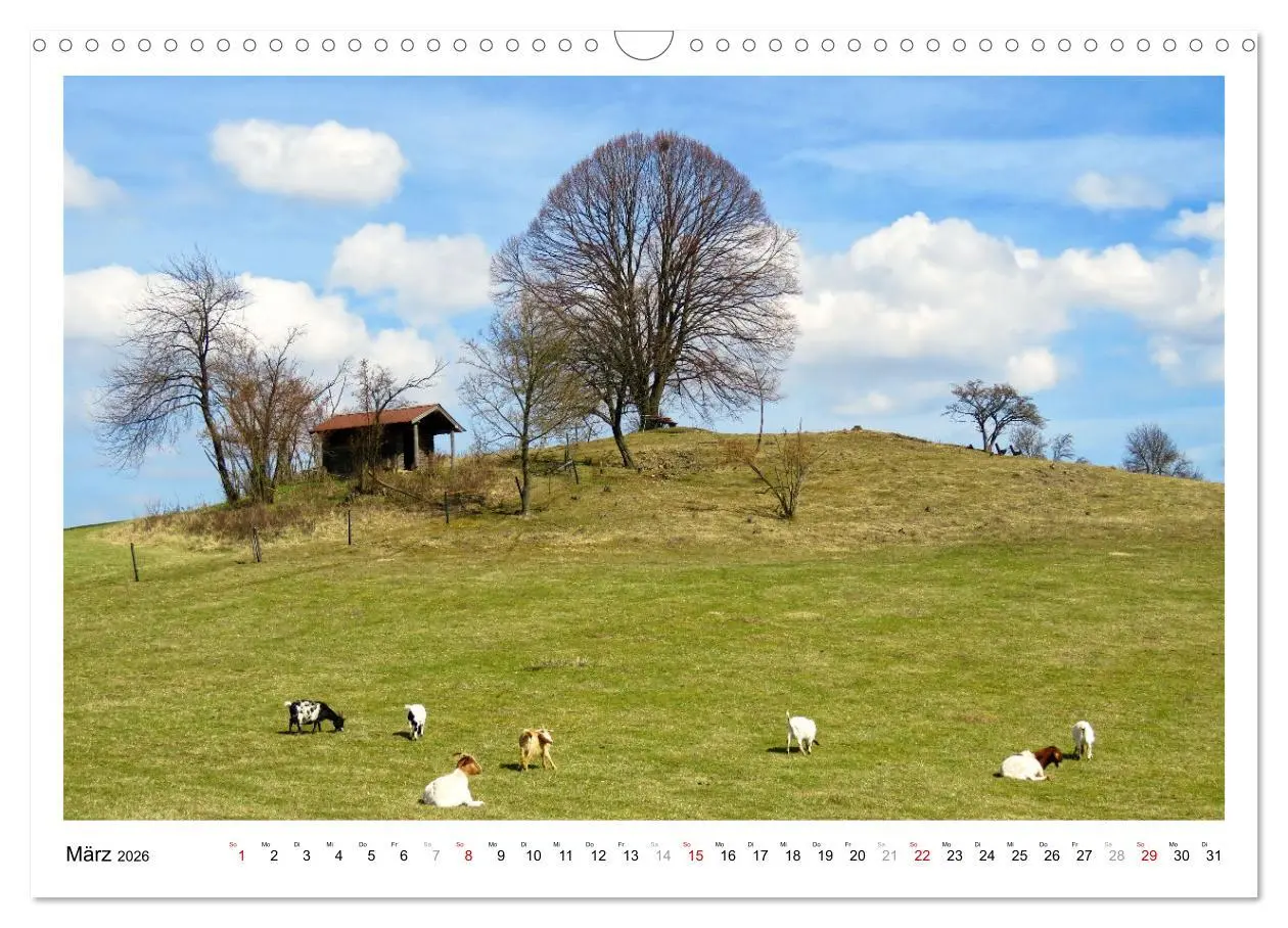 Bild: 9783457623701 | Die Heimat der Frau Holle (Wandkalender 2026 DIN A3 quer), CALVENDO...