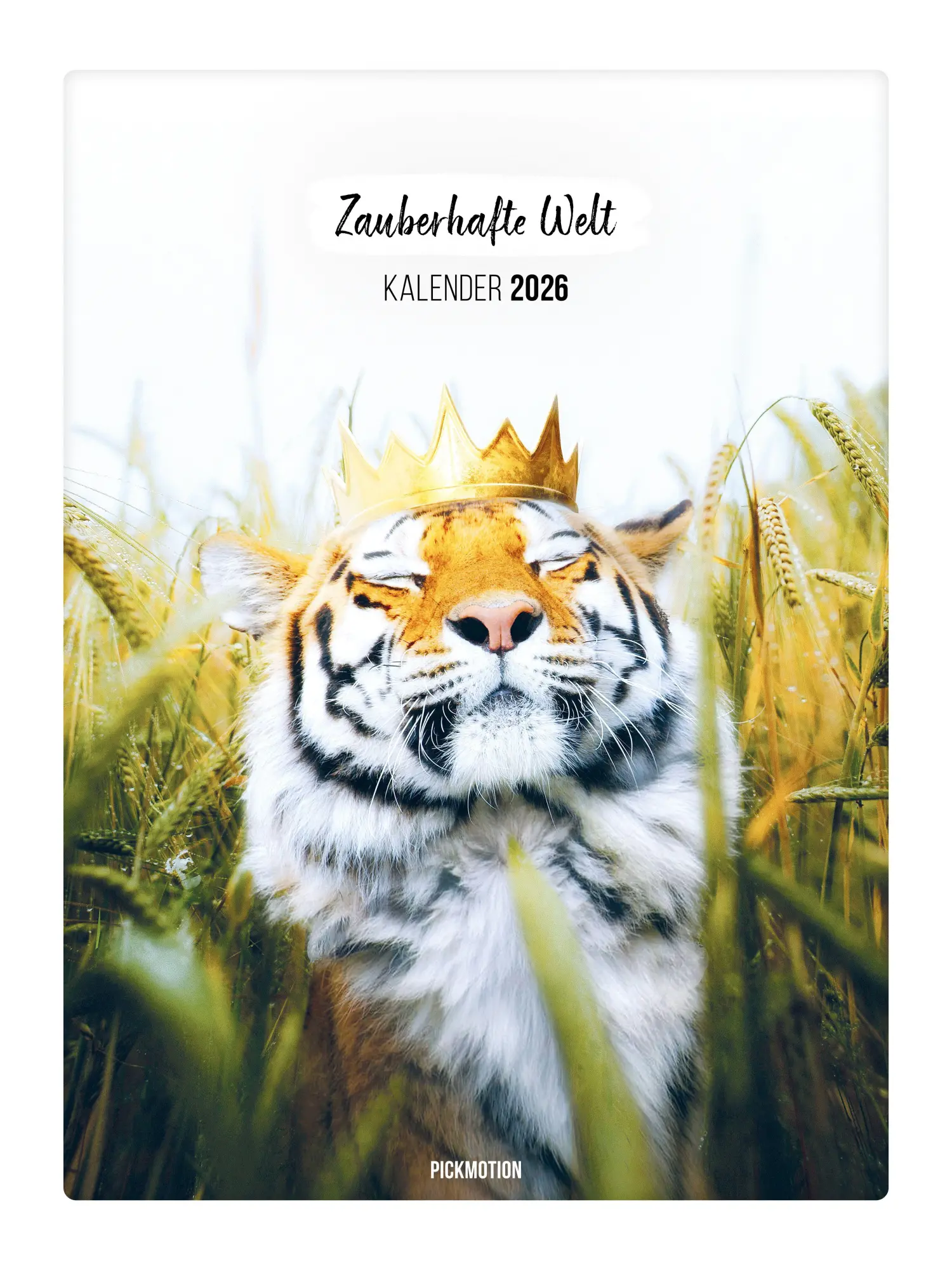 Cover: 4251781193801 | Wandkalender 2026 - Zauberhafte Welt | Pickmotion | Kalender | Deutsch