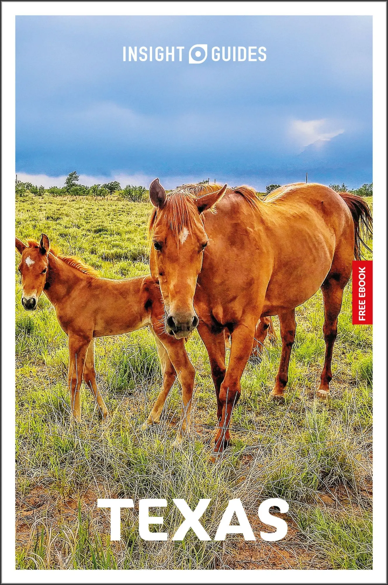 Cover: 9781839053801 | Insight Guides Texas: Travel Guide with eBook | Rashmi Narayan | Buch