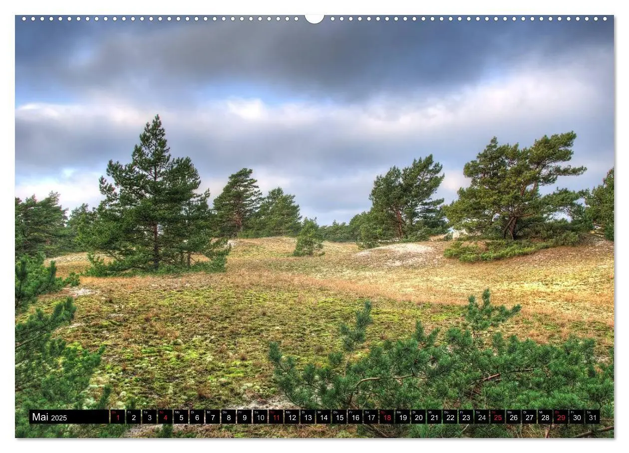 Bild: 9783435693801 | Fischland Darß Zingst - Die Halbinsel an der Ostsee (Wandkalender...