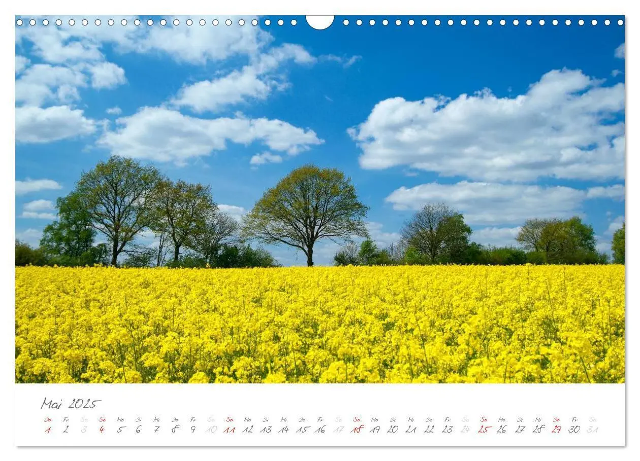 Bild: 9783435763801 | "Landarzt" - Plätze an Schlei und Ostsee (Wandkalender 2025 DIN A3...
