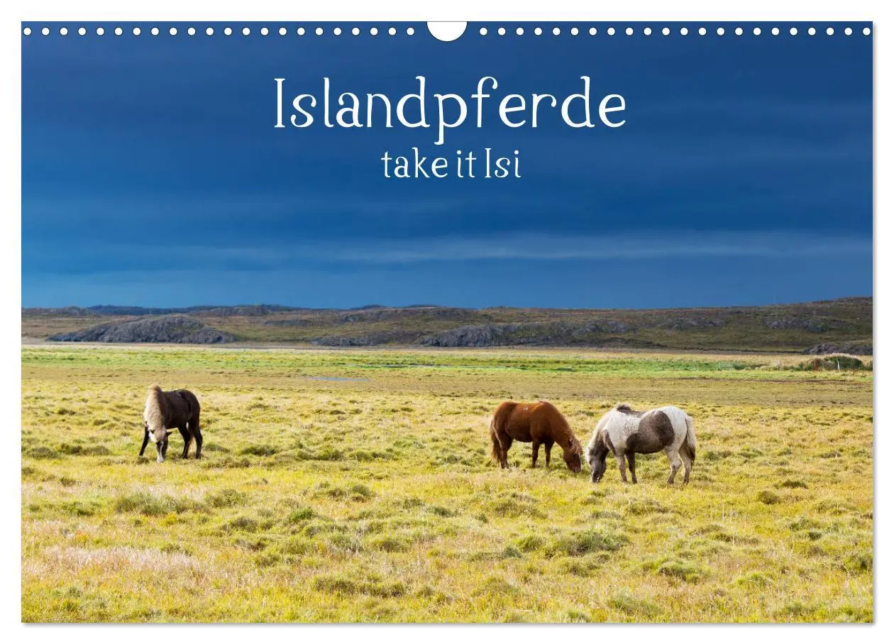 Cover: 9783457923801 | Islandpferde take it Isi (Wandkalender 2026 DIN A3 quer), CALVENDO...