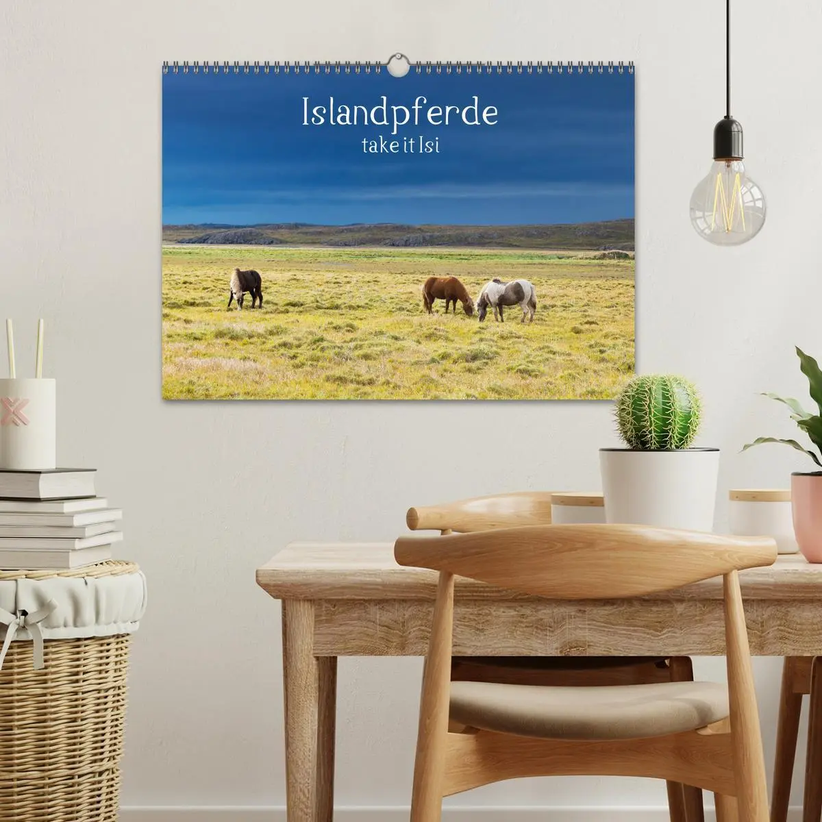 Bild: 9783457923801 | Islandpferde take it Isi (Wandkalender 2026 DIN A3 quer), CALVENDO...