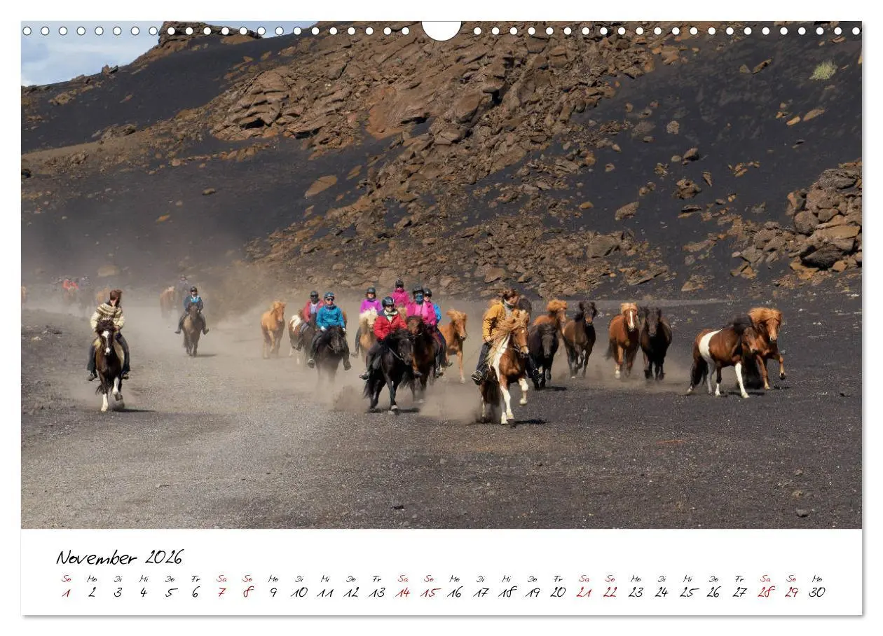 Bild: 9783457923801 | Islandpferde take it Isi (Wandkalender 2026 DIN A3 quer), CALVENDO...