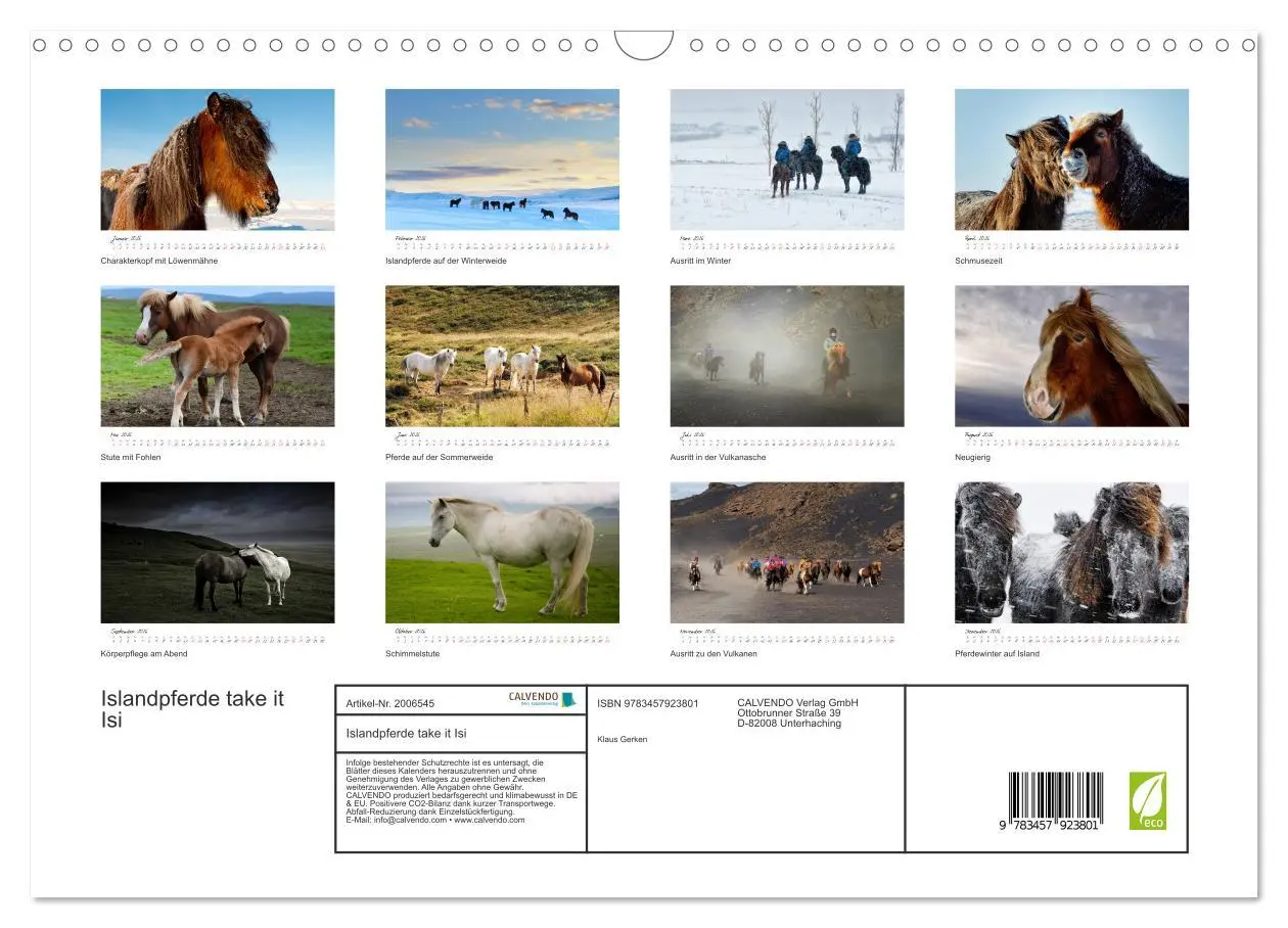 Bild: 9783457923801 | Islandpferde take it Isi (Wandkalender 2026 DIN A3 quer), CALVENDO...