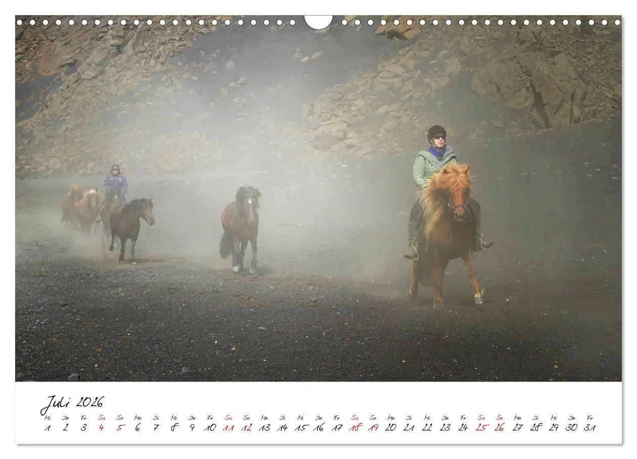 Bild: 9783457923801 | Islandpferde take it Isi (Wandkalender 2026 DIN A3 quer), CALVENDO...