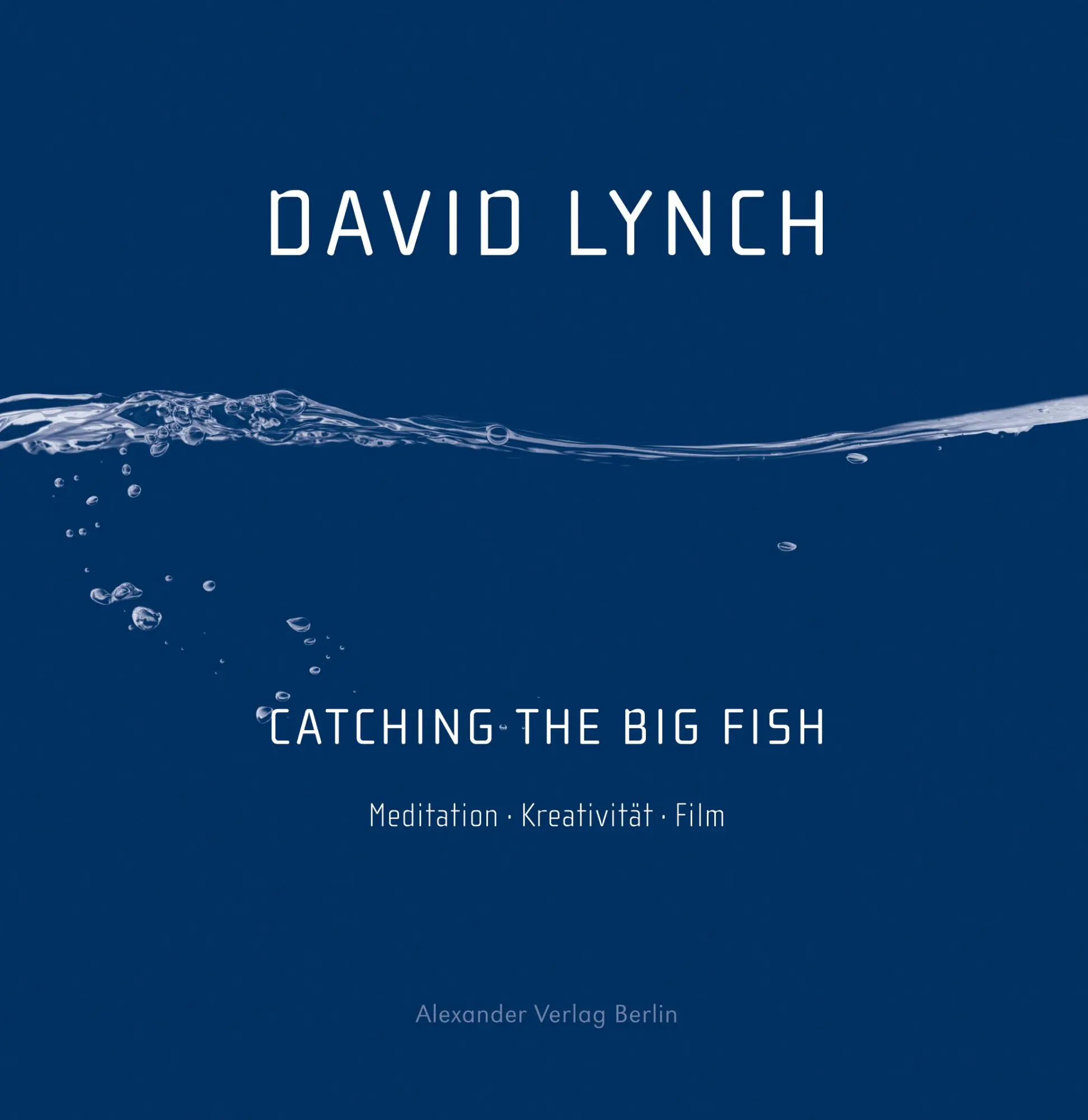 Cover: 9783895813801 | Catching the Big Fish | Meditation Kreativität Film | David Lynch