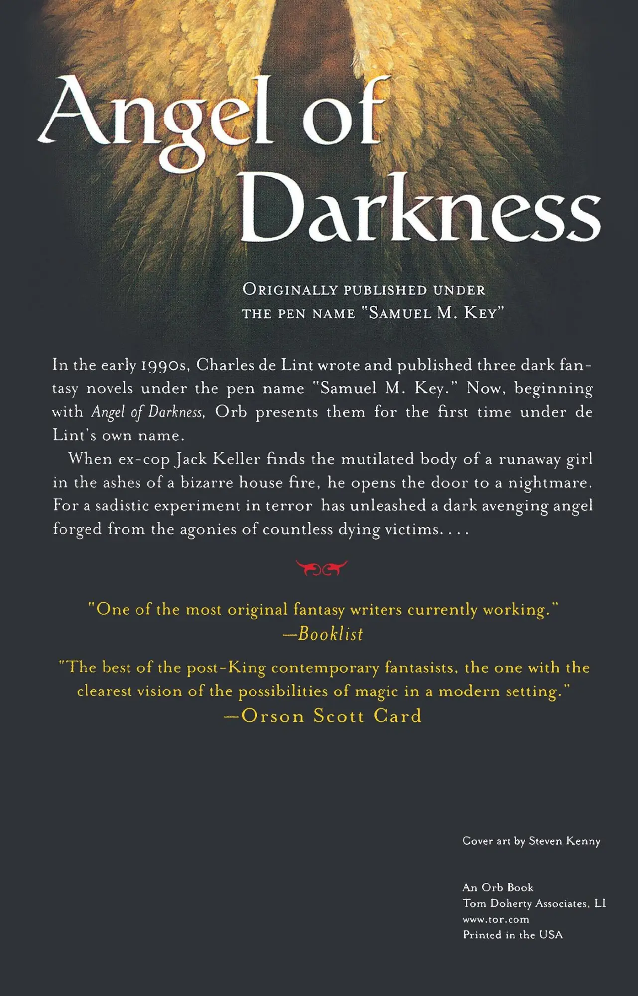 Rückseite: 9780312874001 | Angel of Darkness | Charles De Lint | Taschenbuch | Englisch | 2002