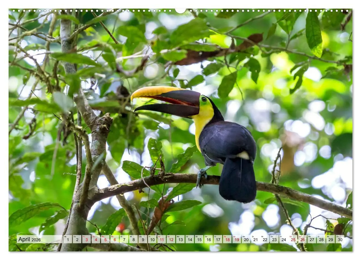 Bild: 9783457424001 | Costa Rica - Tierwelt und Landschaften (hochwertiger Premium...