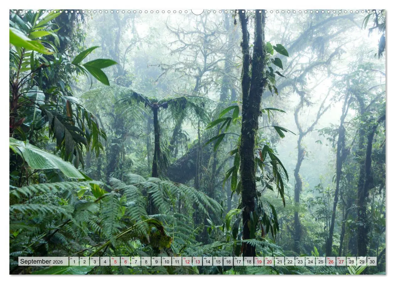 Bild: 9783457424001 | Costa Rica - Tierwelt und Landschaften (hochwertiger Premium...