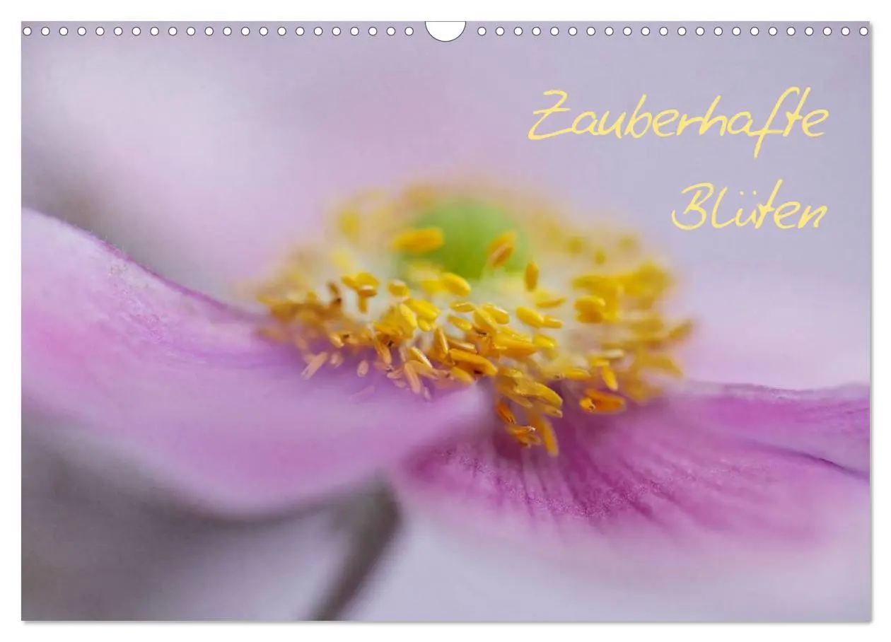 Cover: 9783516204001 | Zauberhafte Blüten (Wandkalender 2026 DIN A3 quer), CALVENDO...