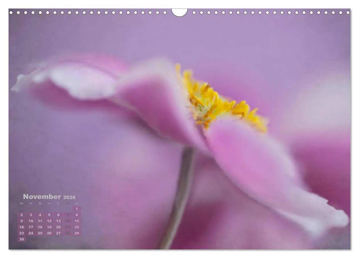 Bild: 9783516204001 | Zauberhafte Blüten (Wandkalender 2026 DIN A3 quer), CALVENDO...