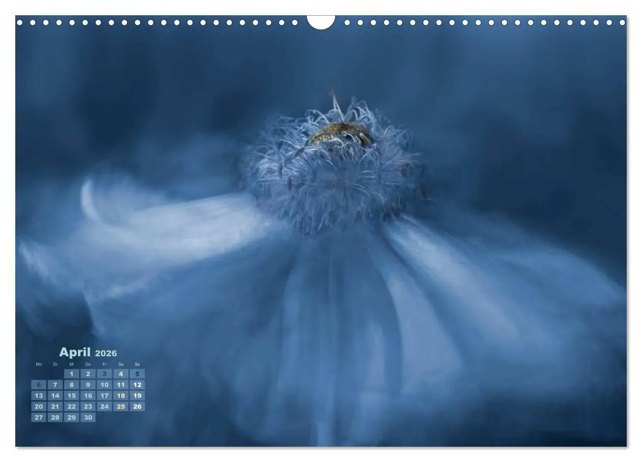 Bild: 9783516204001 | Zauberhafte Blüten (Wandkalender 2026 DIN A3 quer), CALVENDO...