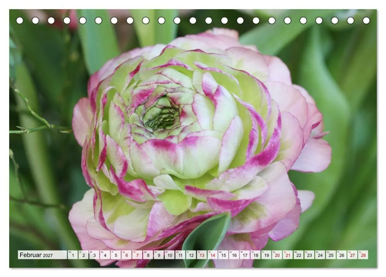 Bild: 9783516754001 | Blumen, bunt gemischt (Tischkalender 2027 DIN A5 quer), CALVENDO...