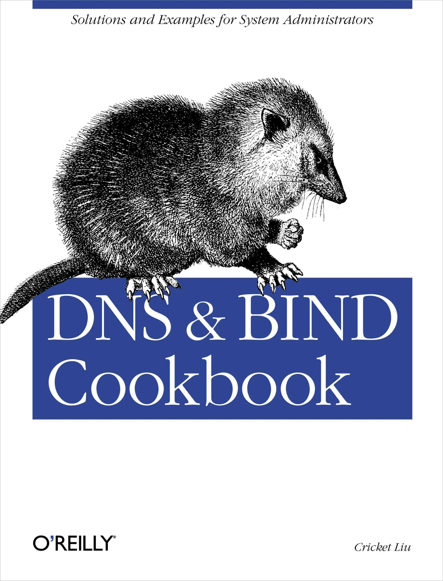 Cover: 9780596004101 | DNS &amp; Bind Cookbook | Solutions &amp; Examples for System Administrators