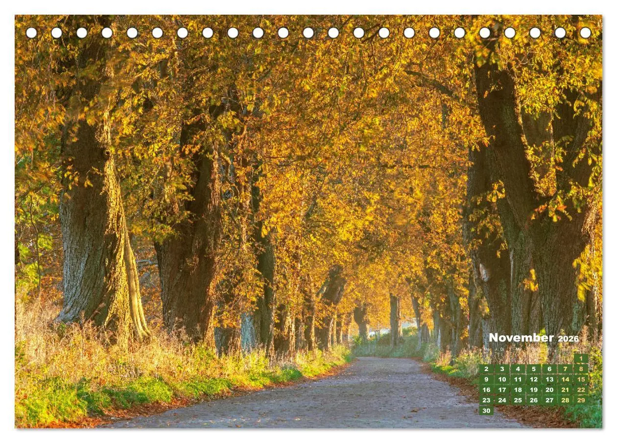Bild: 9783457274101 | Alleen: Der Weg ist das Ziel (Tischkalender 2026 DIN A5 quer),...
