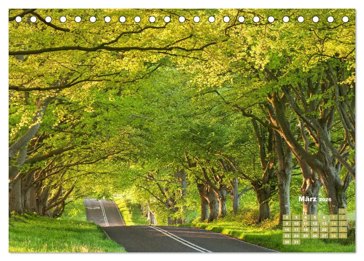 Bild: 9783457274101 | Alleen: Der Weg ist das Ziel (Tischkalender 2026 DIN A5 quer),...