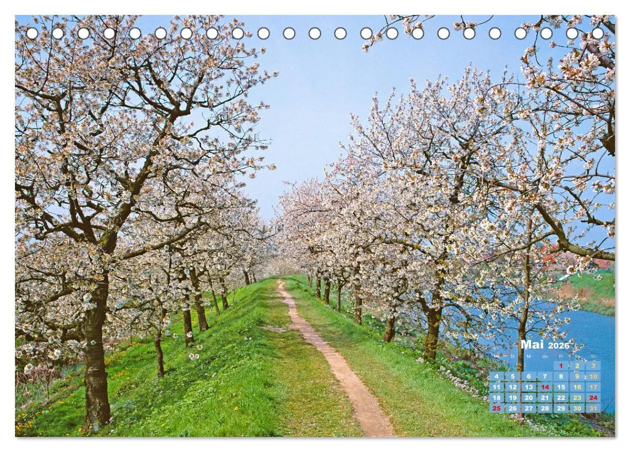 Bild: 9783457274101 | Alleen: Der Weg ist das Ziel (Tischkalender 2026 DIN A5 quer),...