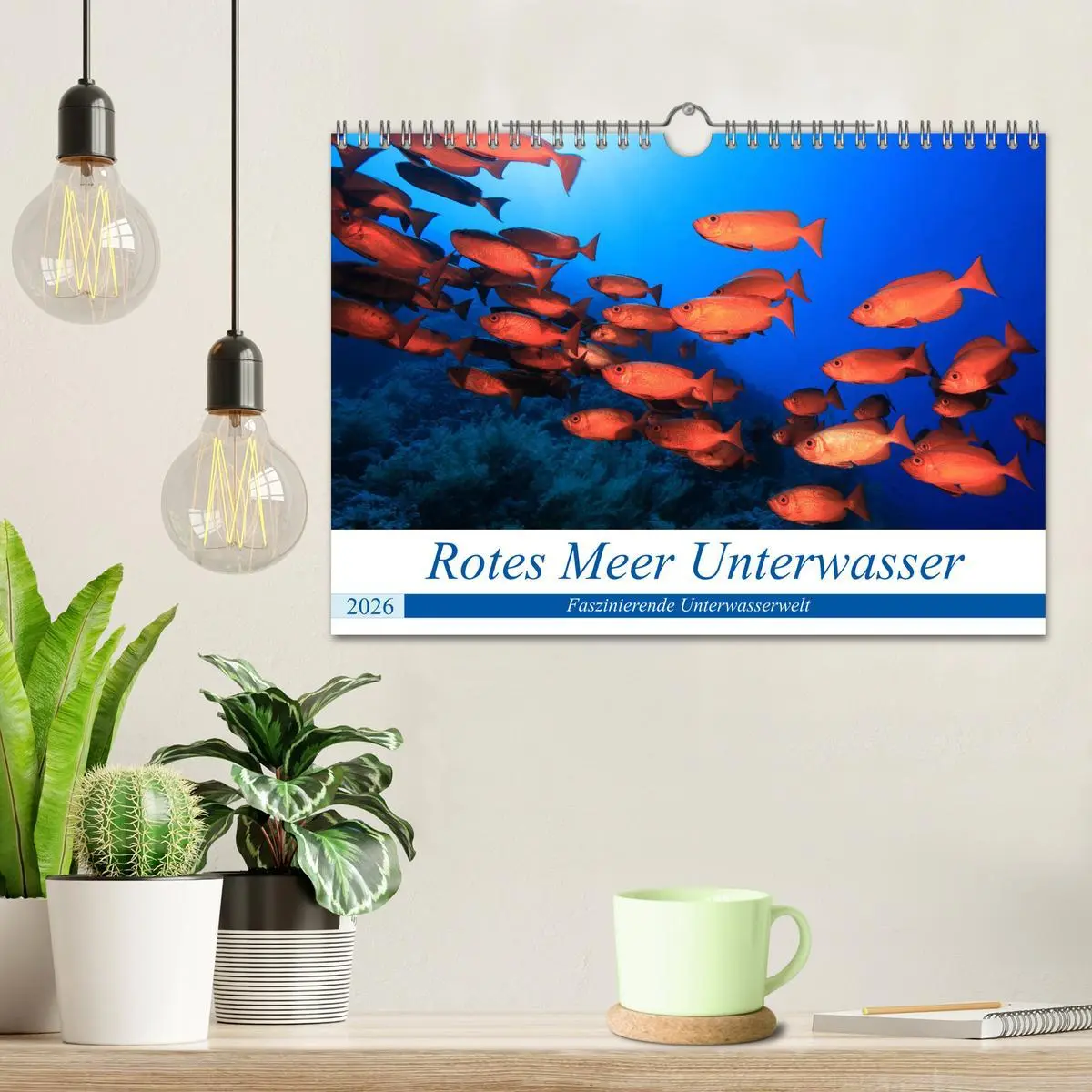 Bild: 9783457724101 | Rotes Meer Unterwasser (Wandkalender 2026 DIN A4 quer), CALVENDO...