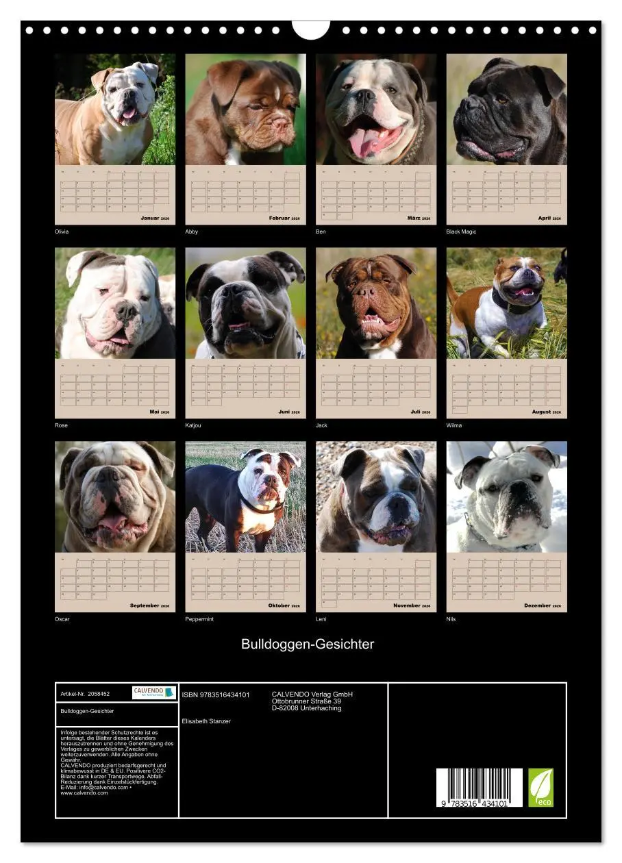 Bild: 9783516434101 | Bulldoggen-Gesichter (Wandkalender 2026 DIN A3 hoch), CALVENDO...