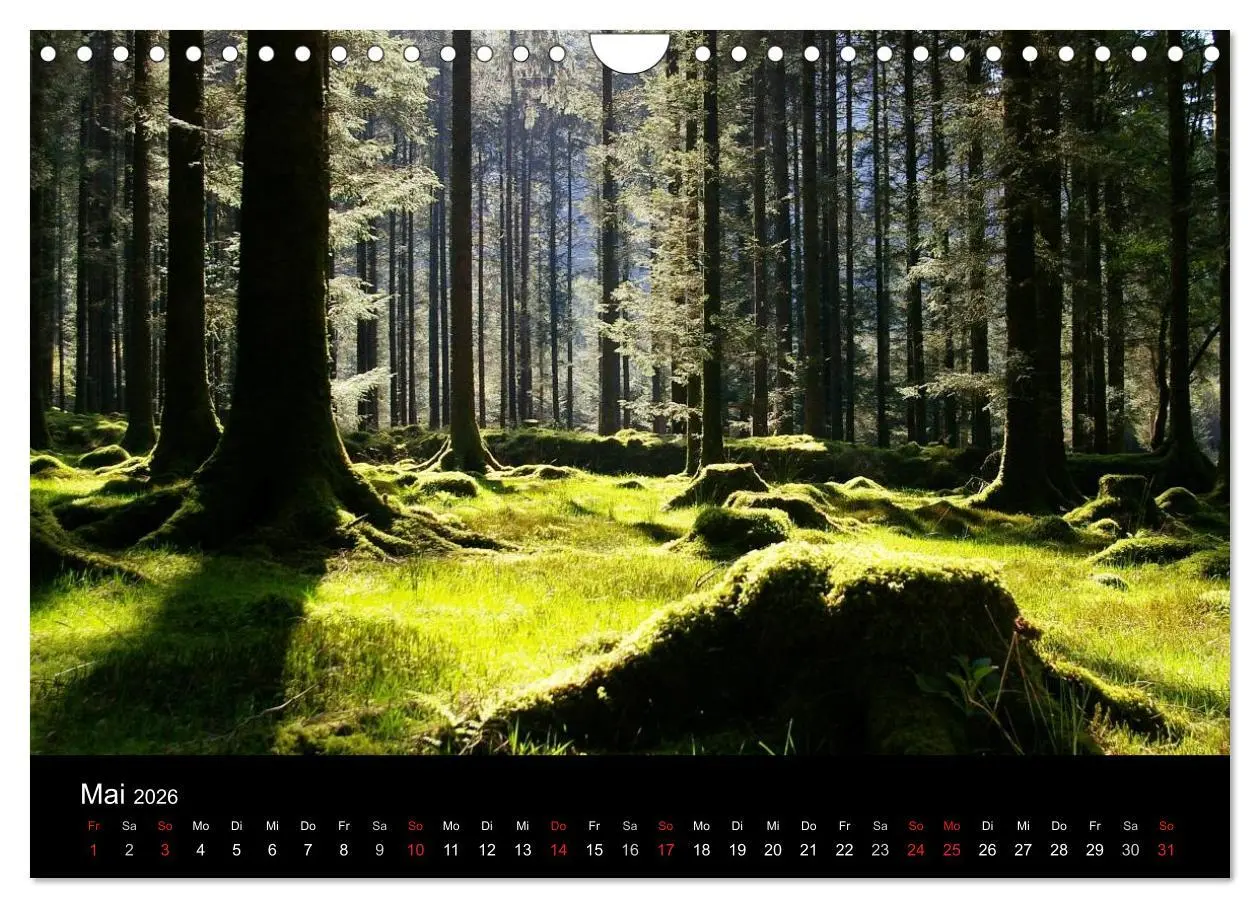 Bild: 9783516114201 | Irland County Cork (Wandkalender 2026 DIN A4 quer), CALVENDO...
