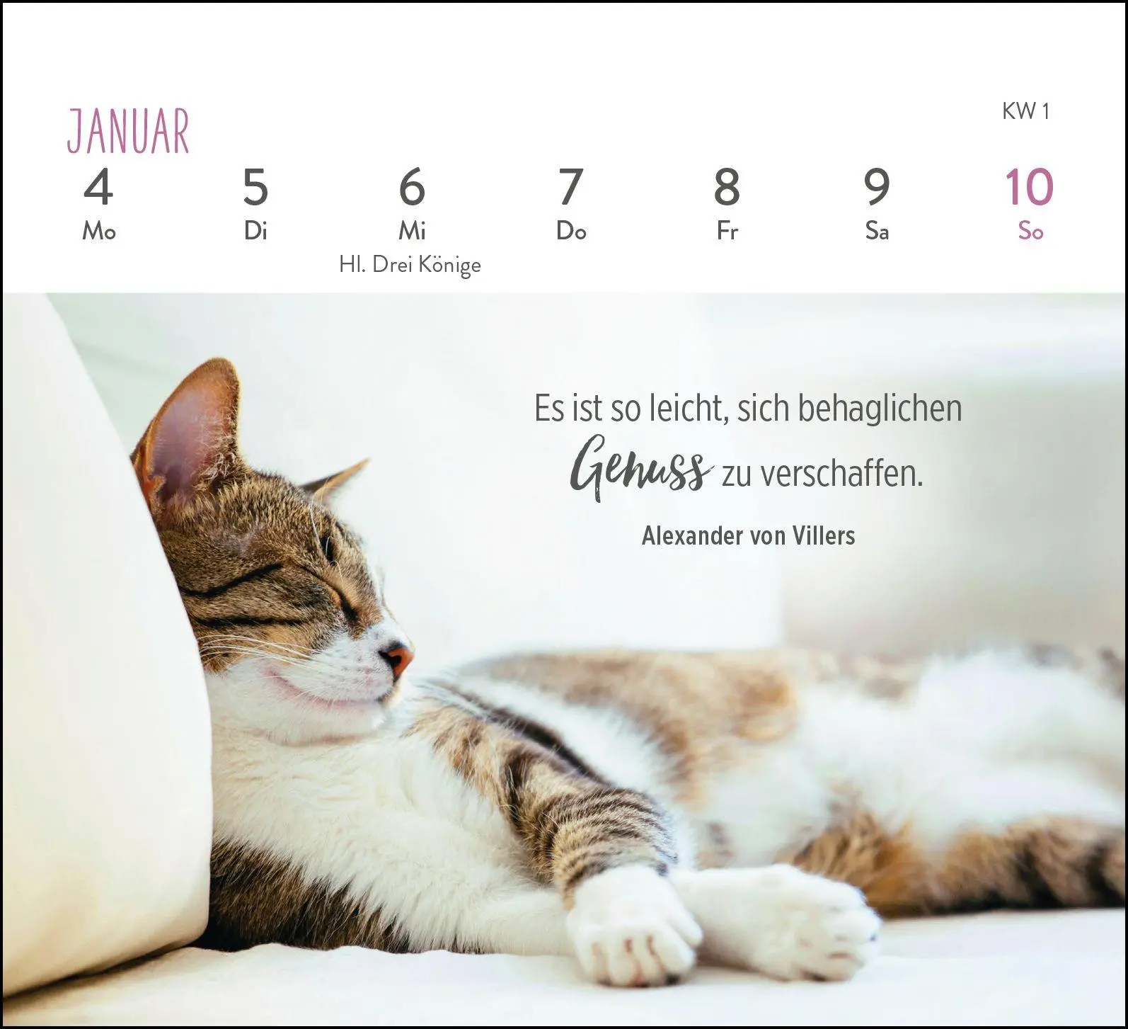Bild: 4036442014301 | Mini-Wochenkalender 2027: Für Katzenfreunde | Groh Verlag | Kalender