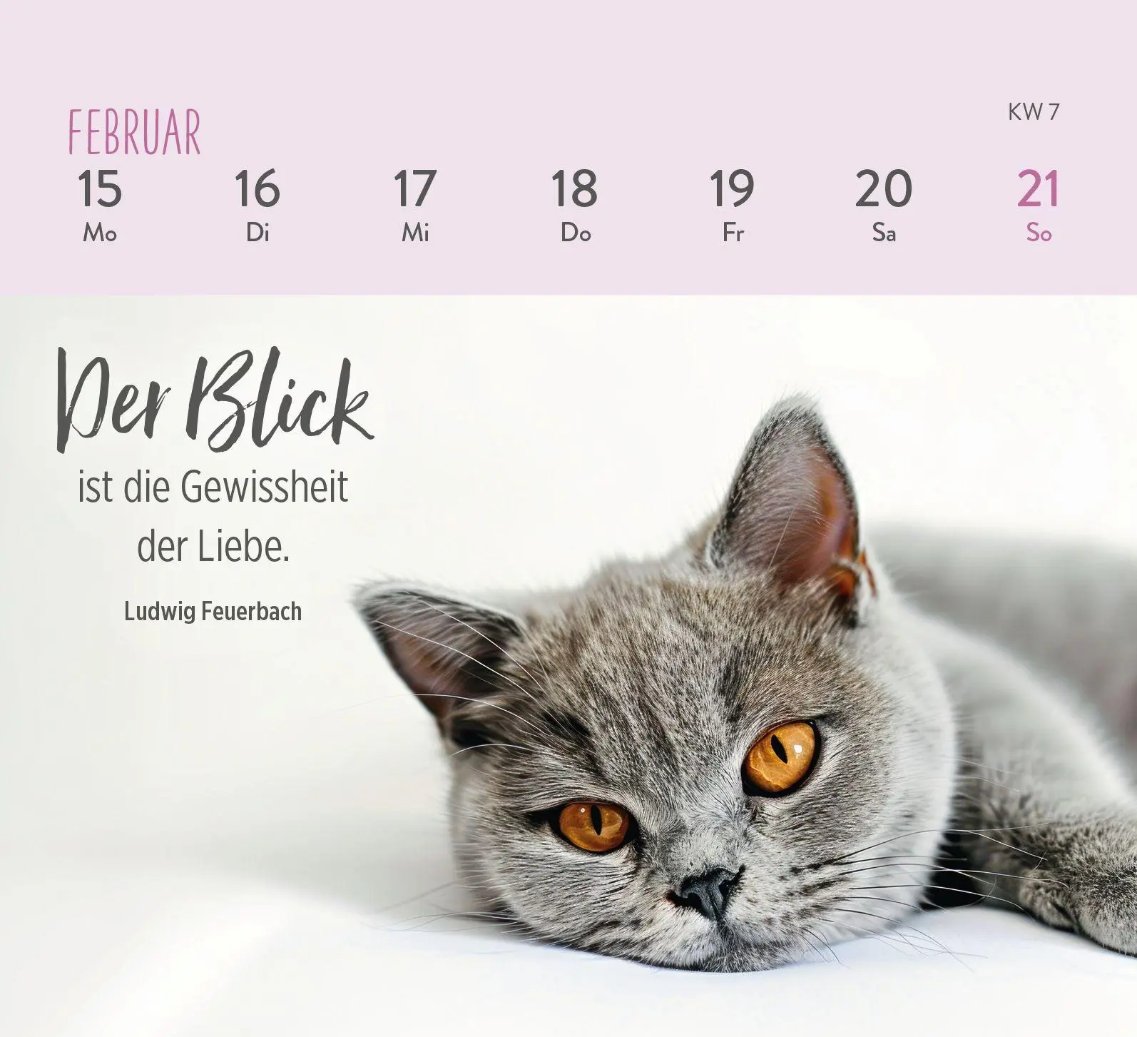Bild: 4036442014301 | Mini-Wochenkalender 2027: Für Katzenfreunde | Groh Verlag | Kalender
