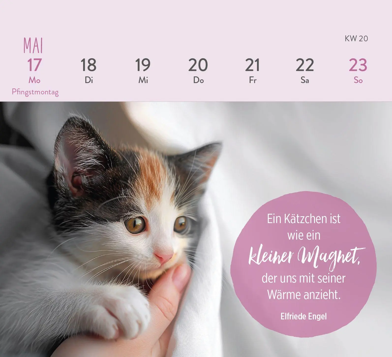 Bild: 4036442014301 | Mini-Wochenkalender 2027: Für Katzenfreunde | Groh Verlag | Kalender