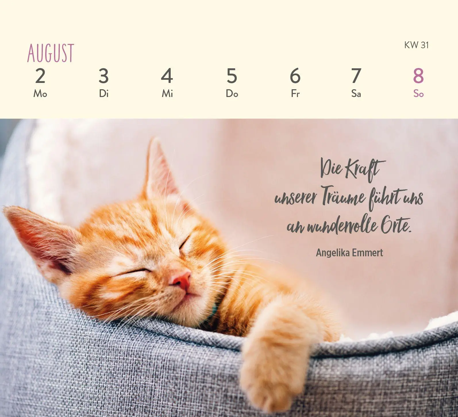 Bild: 4036442014301 | Mini-Wochenkalender 2027: Für Katzenfreunde | Groh Verlag | Kalender