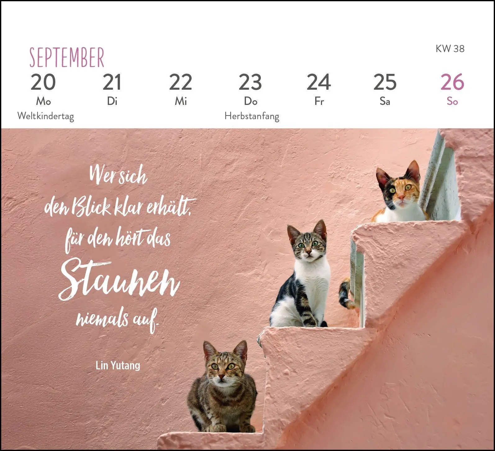 Bild: 4036442014301 | Mini-Wochenkalender 2027: Für Katzenfreunde | Groh Verlag | Kalender