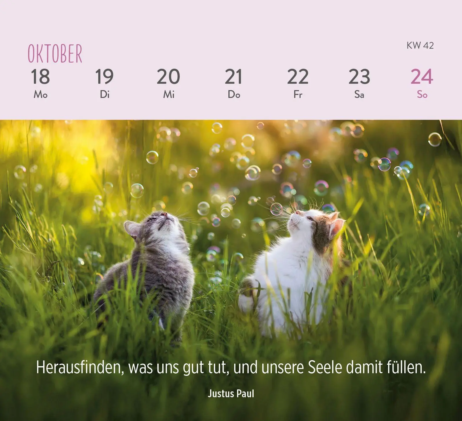 Bild: 4036442014301 | Mini-Wochenkalender 2027: Für Katzenfreunde | Groh Verlag | Kalender