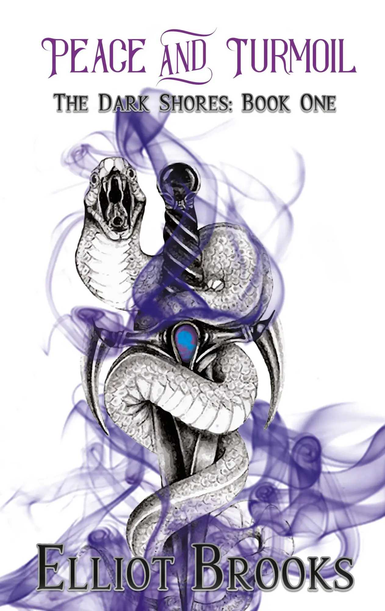 Cover: 9781733664301 | Peace and Turmoil | Elliot Brooks | Buch | Gebunden | Englisch | 2019