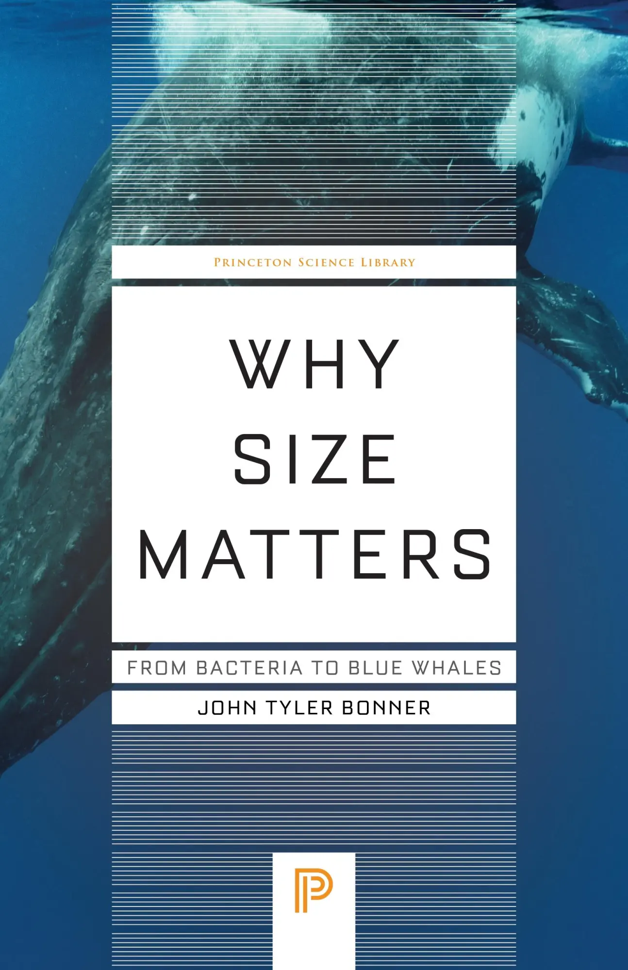 Cover: 9780691254401 | Why Size Matters | From Bacteria to Blue Whales | John Tyler Bonner