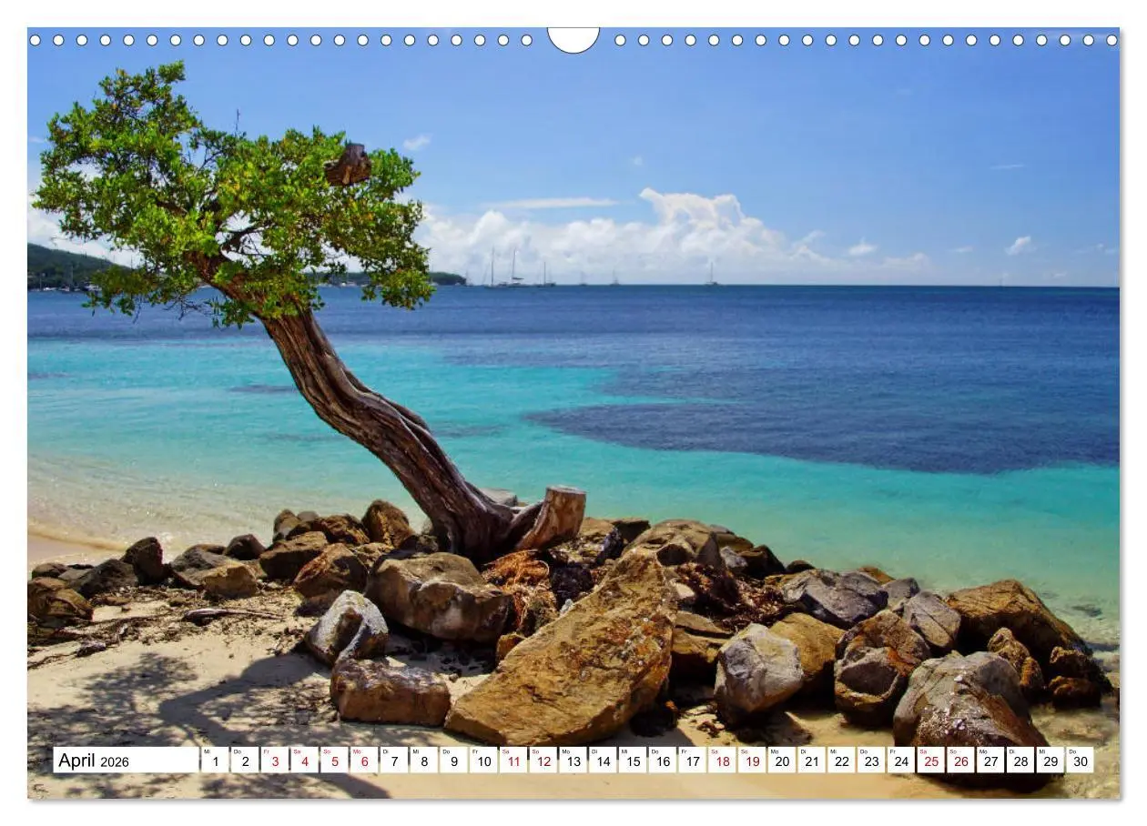 Bild: 9783457864401 | Martinique, die Traumstrände (Wandkalender 2026 DIN A3 quer),...