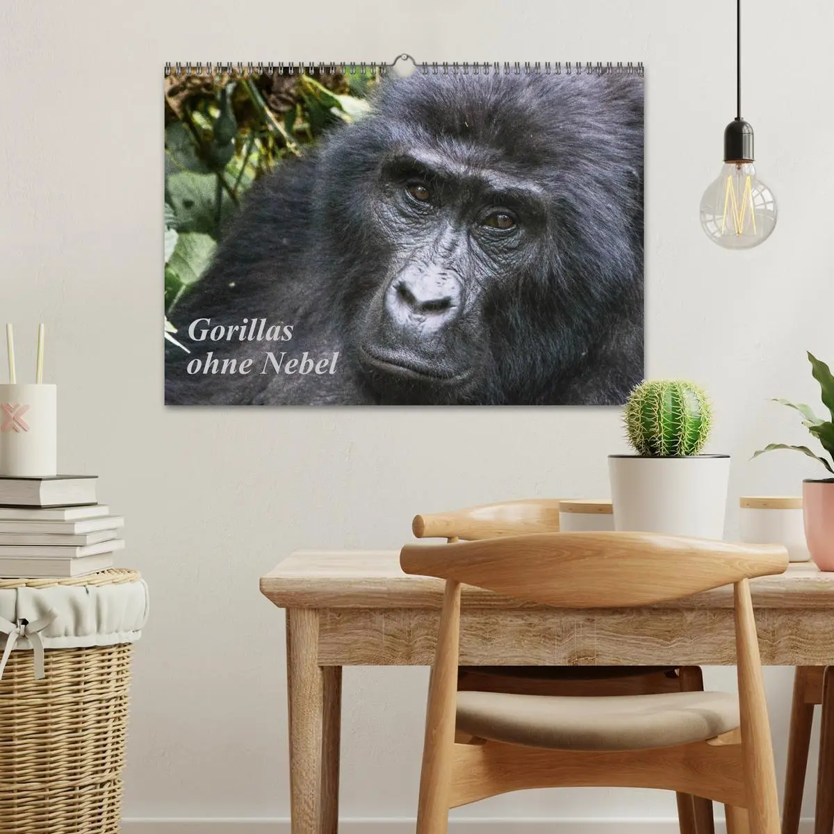 Bild: 9783457854501 | Gorillas ohne Nebel (Wandkalender 2026 DIN A3 quer), CALVENDO...
