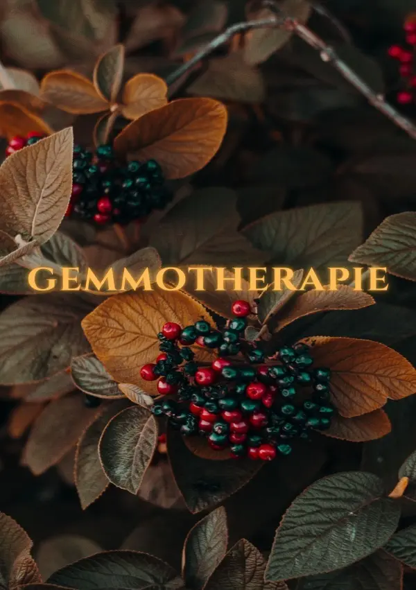 Cover: 9783759804501 | Gemmotherapie: Hilfe in der Naturheilkunde - BONUS Rezepte 2023 -:...
