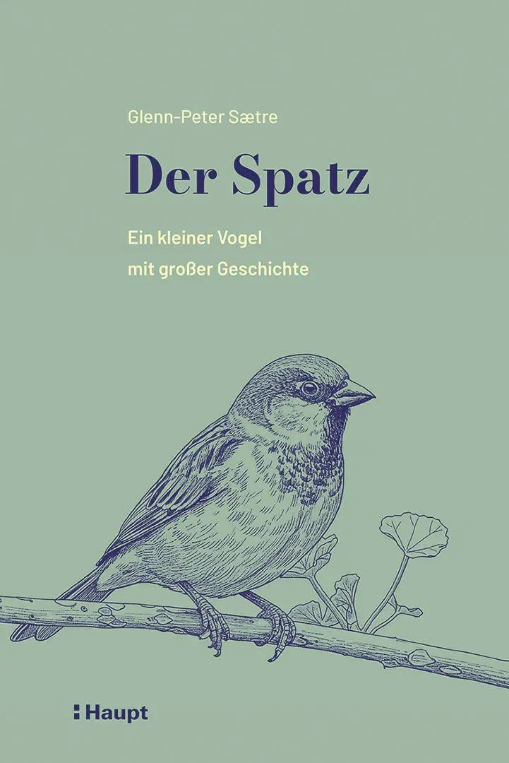 Cover: 9783258084701 | Der Spatz | Ein kleiner Vogel mit großer Geschichte | Saetre | Buch