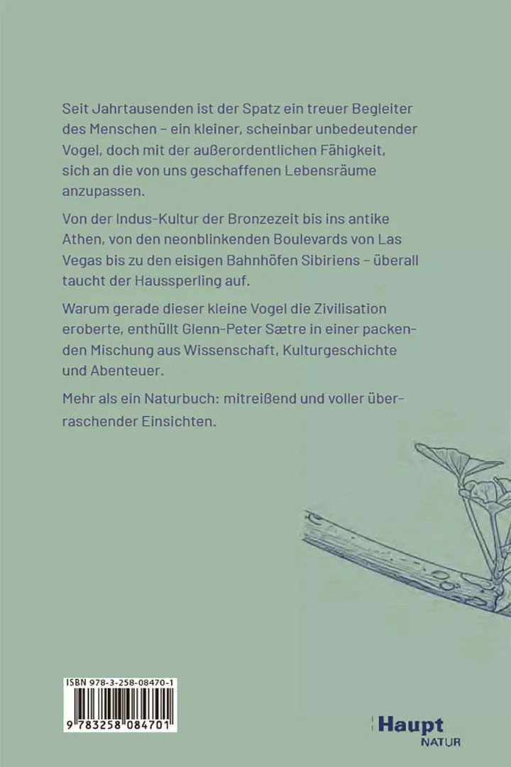 Bild: 9783258084701 | Der Spatz | Ein kleiner Vogel mit großer Geschichte | Saetre | Buch