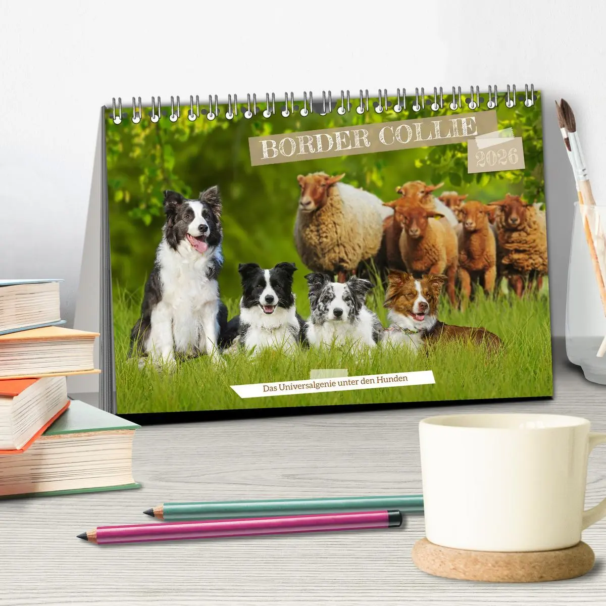 Bild: 9783457384701 | Border Collie - Das Universalgenie unter den Hunden (Tischkalender...